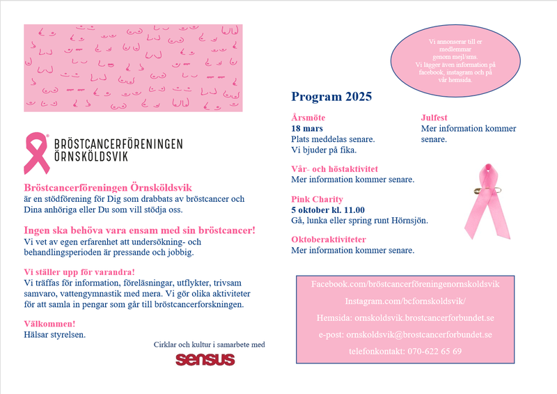 Skärmbild 2024-10-10 151759